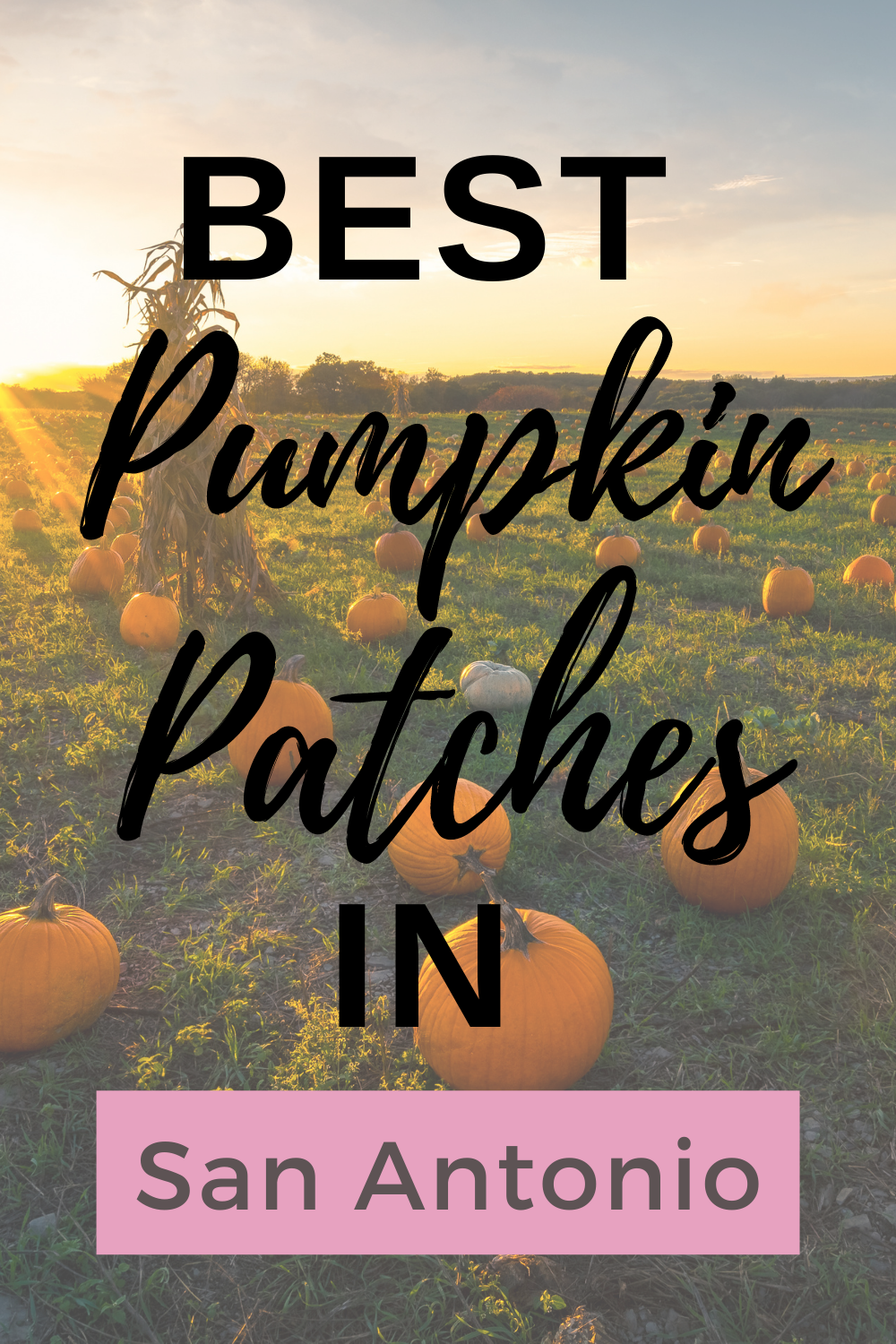 Time to get the kids together for some fall festivals. Check this list of 8 Best Pumpkin Patches in San Antonio Texas.