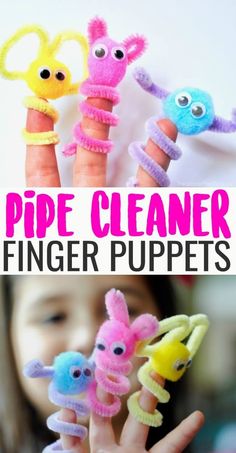 pipe cleaner craft