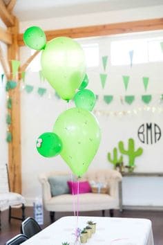 DIY Cactus Balloons